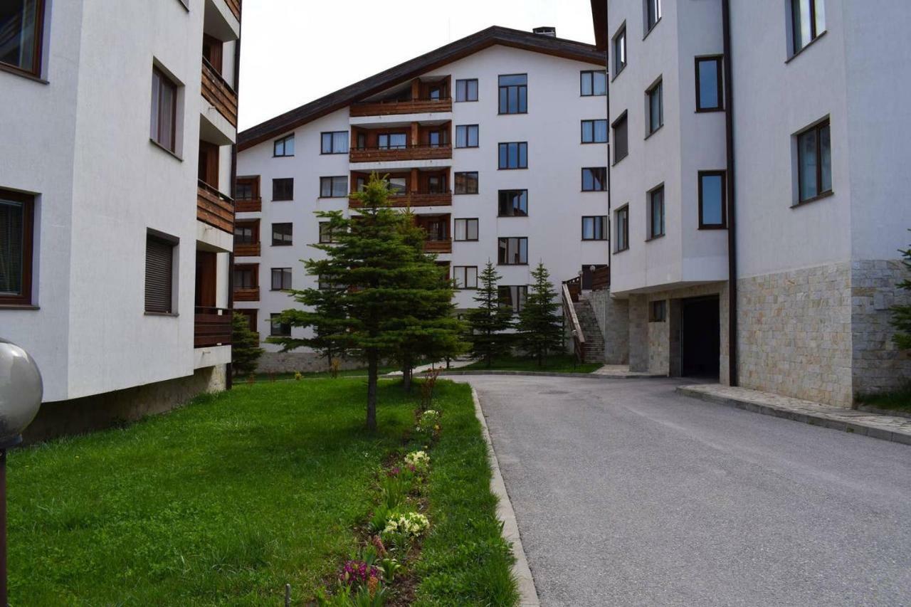Detelina Residence بانسكو المظهر الخارجي الصورة
